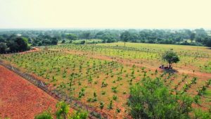 Kapila Farmlands